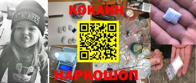 гашик Кингисепп