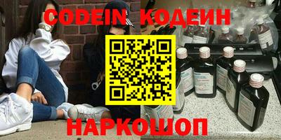 гашик Кингисепп