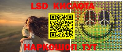 гашик Кингисепп