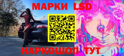 гашик Кингисепп