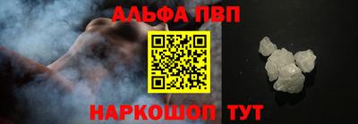 гашик Кингисепп