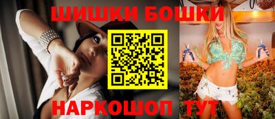 гашик Кингисепп