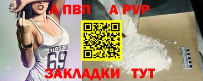 гашик Кингисепп