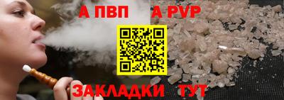 гашик Кингисепп