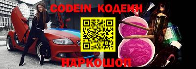 гашик Кингисепп
