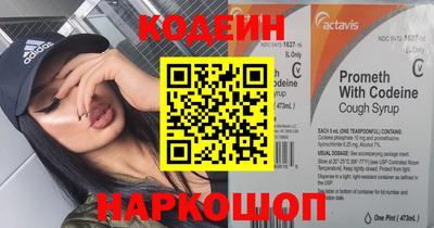 гашик Кингисепп